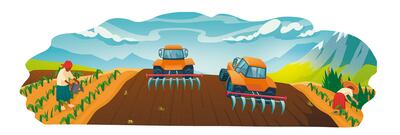 Tipos de suelos y sus características para cultivos.