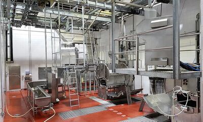 Las industrias invirtieron en equipamientos para la certificación Kosher. La imagen muestra una de las plantas, previo al inicio de la faena kosher, que desde ayer se activó entres plantas.