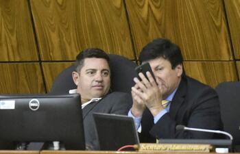 El presidente de Diputados, Pedro Alliana (i) convocó a sesión extraordinaria para hoy para tratar algunos de los puntos pendientes de la sesión pasada que quedó sin quórum.