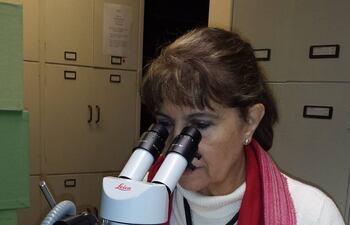 Fátima Mereles Haydar.