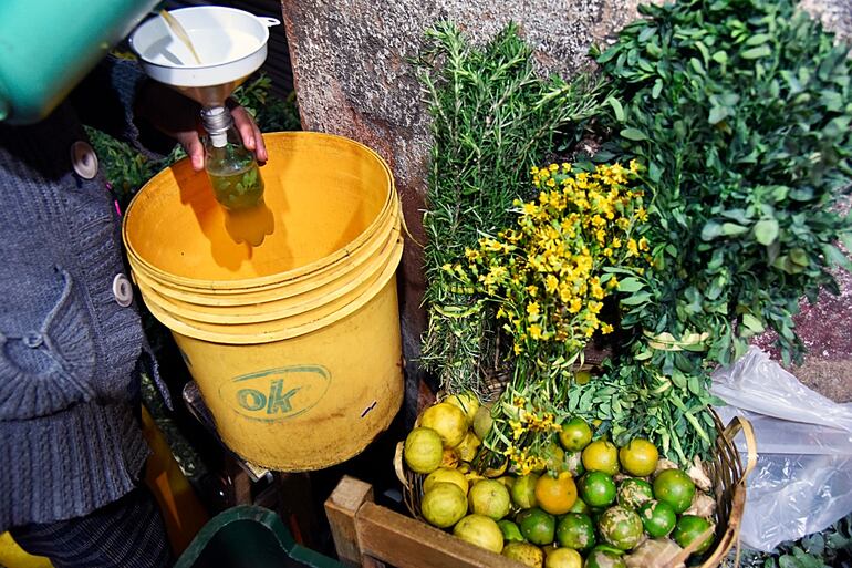 Caña, ruda y limón