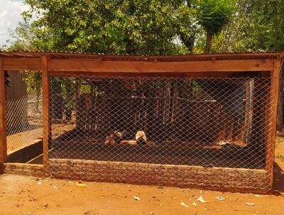 Este es el costoso gallinero que se construyó con el aporte de MAG.