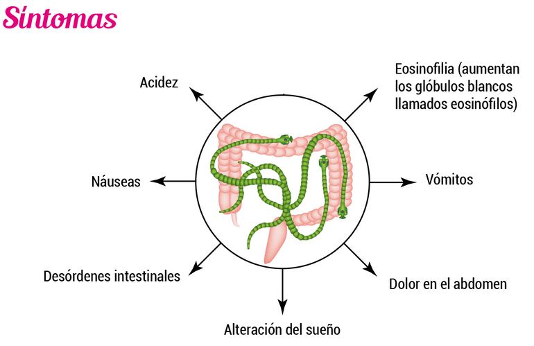 SINTOMAS DE LA TENIASIS