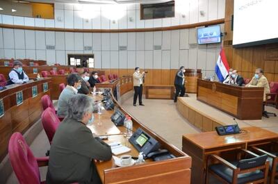Dirigentes campesinos de San Pedro se reunieron hoy con el presidente del Congreso Nacional, piden legalización del cannabis