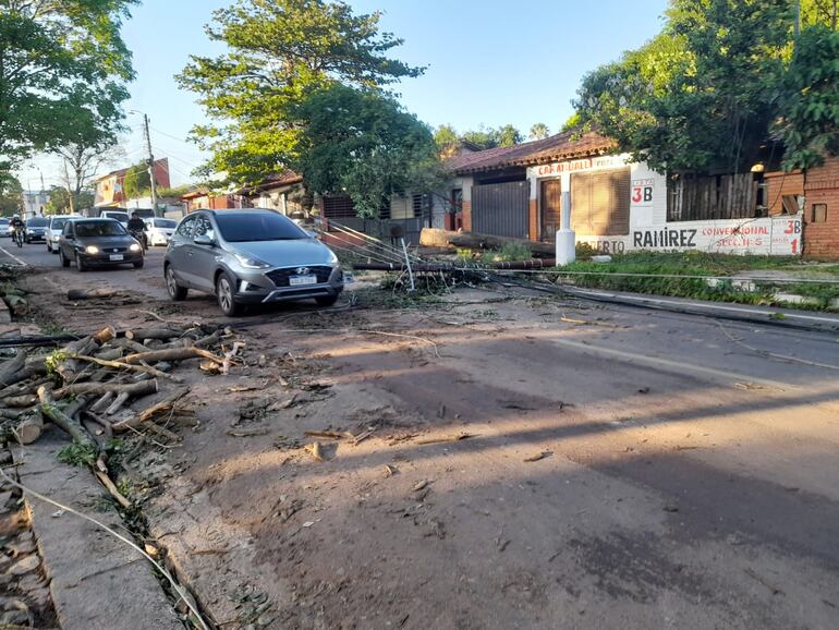 Columnas siguen caídas sobre la calle Pedro Juan Caballero, casi Cacique Lambaré.