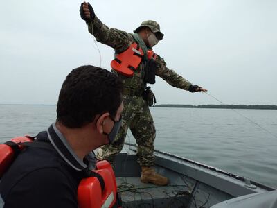 Los espineles fueron retirados del río Paraná.