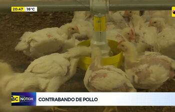 Contrabando de pollo
