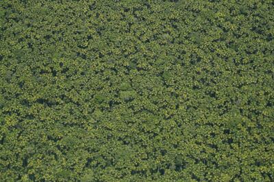 la aplicación también permite que los usuarios puedan subir a esa herramienta incendios o devastaciones de las que sean testigos y que no estén registrados inicialmente.