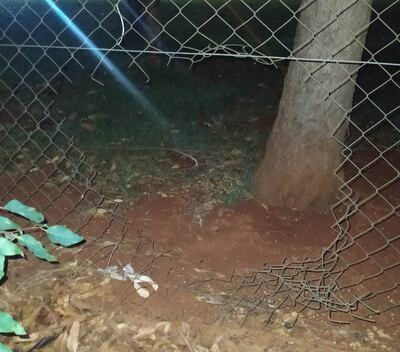 El malviviente ingresó al predio de la fábrica Planagro tras cortar el tejido.