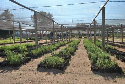 /pf/resources/images/abc-placeholder.png?d=2429