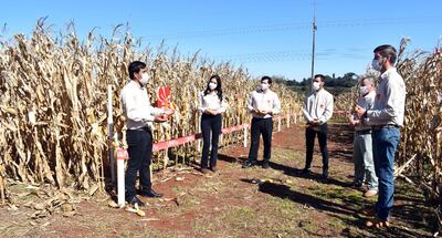 El Ing. Hugo Enriquez (Izq), junto al equipo de BAUP en la presentación de híbridos de maíz.