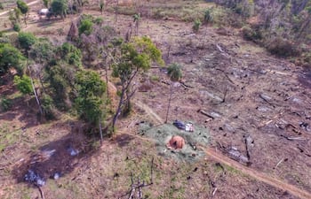 Imagen aérea que muestra zonas deforestadas y hornos de carbón en Marina Cué.