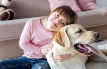 La delfinoterapia es un tratamiento para mejorar las capacidades psico-emocionales, cognitivas y motoras. Recomendados en caso de autismo, síndrome de Down, ACV, entre otras.