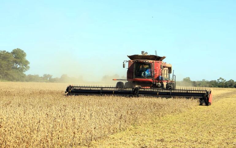 Cosecha de soja realizada ayer en la estancia Don Celso, Agua Dulce, Chaco, durante la jornada técnica con el MAG.