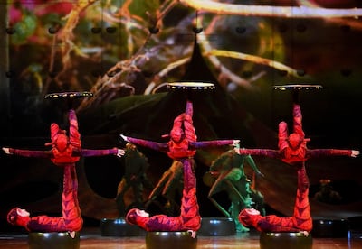 Imagen del espectáculo "Ovo" que el Cirque du Soleil presentó el año pasado en Paraguay. La compañía visitó tres veces nuestro país.