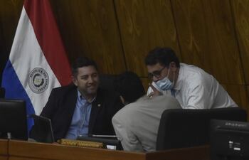 El presidente de Diputados, Pedro Alliana (ANR), reconoció que buscan apurar la Ley, para blanquear una práctica común