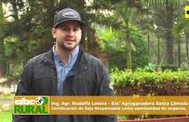 Certificación de Soja Responsable como oportunidad de negocios