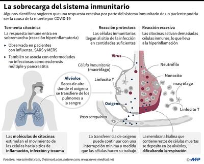LA SOBRECARGA DEL SISTEMA INMUNITARIO