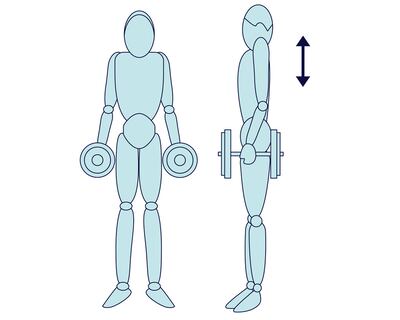 Prevenir problemas de espalda.