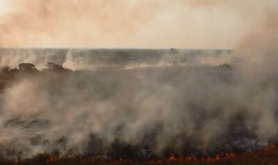 Los incendios forestales en Corrientes, provincia argentina, avanzan incontrolables.