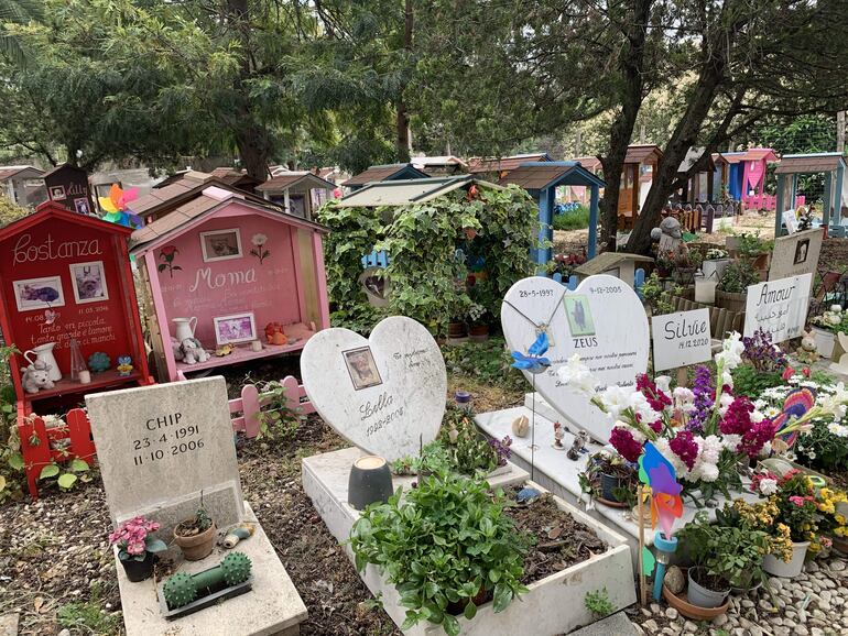 El cementerio de mascotas más antiguo de Italia, con cerca de mil tumbas de animales de todo tipo, desde perros y gatos hasta palomas, iguanas e incluso un león, cumple cien años desde su primera y sorprendente sepultura: la gallina de los hijos de Benito Mussolini.