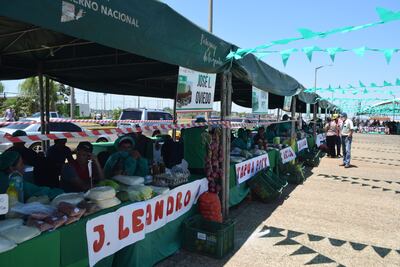 Unas 420 familias rurales de los 30 distritos de Itapúa participan de las ferias “Automag”, cuya segunda edición se cumplió la jornada de hoy, en el estacionamiento de la playa San José.