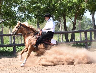 El jinete Federico Torloting montando al padrillo “AFN Runaway Daddy”.
