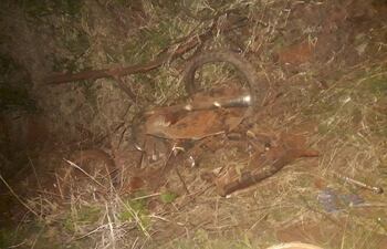 Hecha chatarra quedó la motocicleta tras el fuerte impacto que costó la vida a todos su ocupantes.