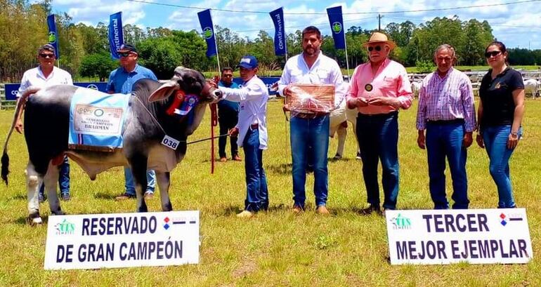 En la jornada de hoy también se realizó el juzgamiento de los mejores ejemplares de la raza Brahman. 