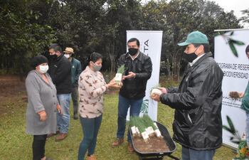 Entregan plantines de cebolla para incentivar las huertas familiares.
