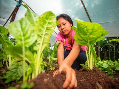 /pf/resources/images/abc-placeholder.png?d=2422