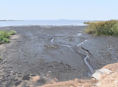 El dique de geobolsas y arena colocado por la Conalaypa habría empeorado la situación de los humedales y del río Salado.
