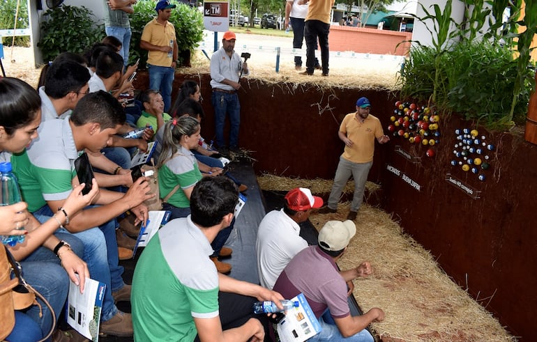 Una calicata en Agrodinámica para que los presentes puedan ver el desarrollo de raíces de los cultivos, y como se debe trabajar en la fertilización.