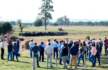 Jornada técnica sobre cría de búfalos, realizada en la Cabaña La Tranquera, en Ypacaraì, del Dr. Manuel Cardozo.