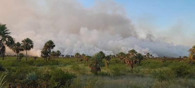 Incendio forestal en la zona de San Bernardino - Luque.