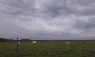 /pf/resources/images/abc-placeholder.png?d=2402