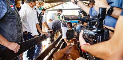El presidente  Mario Abdo Benítez (3° de la izq.), por segundo año consecutivo asistió al lanzamiento de la campaña antiaftosa.