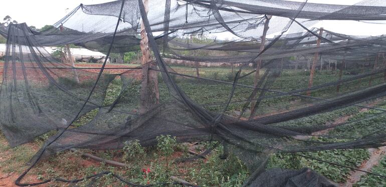 Mallas de media sobra destruidas tras fuerte temporal