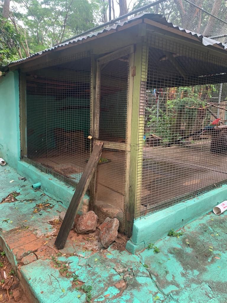 Jaulas en mal estado, sin ninguna seguridad se pueden ver en el Jardín Botánico.