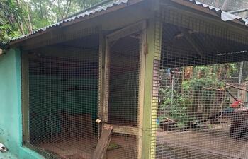 Jaulas en mal estado, sin ninguna seguridad se pueden ver en el Jardín Botánico.