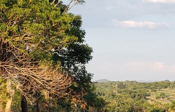 Zona de la desaparición de un menor de edad en Paso Hũ, en el distrito Yby Yaú, en el departamento de Concepción.