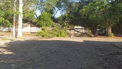 Pedazo de árbol tapando una calle en zona limítrofe entre Asunción y Lambaré