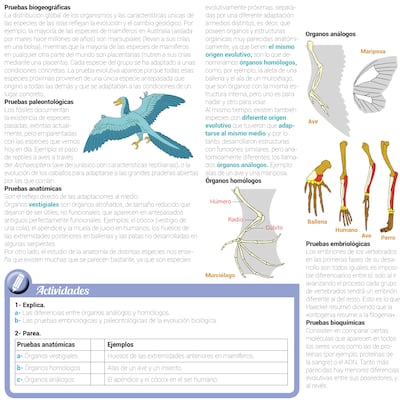Pruebas de la evolución biológica