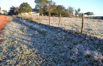 Se esperan bajas temperaturas para los próximos días, que afectarán a la agricultura y la ganadería.