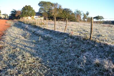 Se esperan bajas temperaturas para los próximos días, que afectarán a la agricultura y la ganadería.