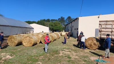 Asistencia con forrajes a ganaderos de Yabebyry.