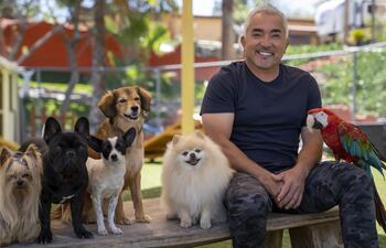 César Millán mientras posa con un grupo de perros en el Centro Psicológico del Perro en Santa Clarita, California.