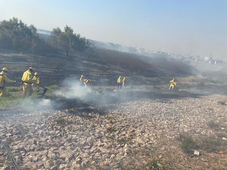 Un total de 120 bomberos trabajaron ayer para sofocar el fuego que afectó una gran extensión de pastizal, en la Costanera de Asunción.