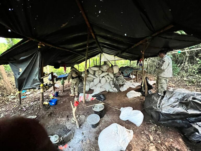 Incautación y destrucción de casi 9 toneladas de marihuana en Amambay