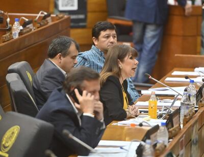La diputada Celeste Amarilla (PLRA) cuestionó el proyecto de ley presentado por la diputada cartista Blanca Vargas de Caballero.